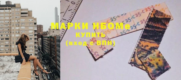 прущие грибы Каменск-Шахтинский