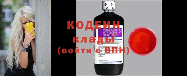 прущие грибы Каменск-Шахтинский